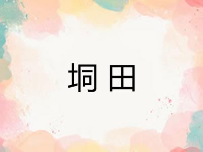 垌田 垌田