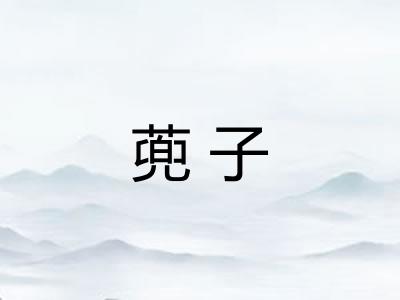 蔸子