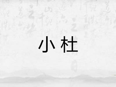 小杜