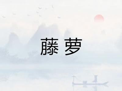 藤萝