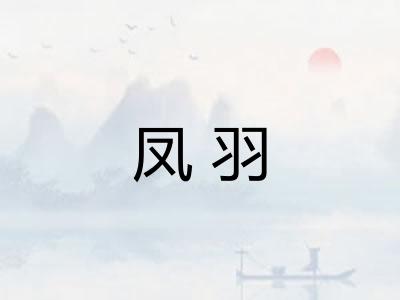 凤羽 凤羽