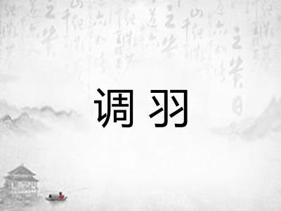调羽