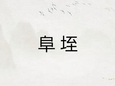 阜垤