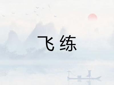 飞练 飞练