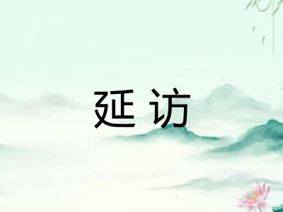 延访 延访