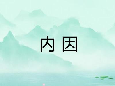 内因 内因