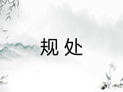 规处