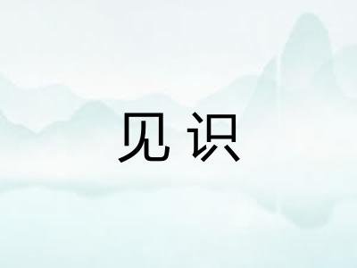 见识