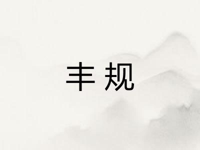 丰规 丰规