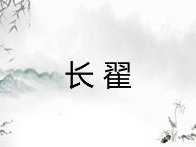 长翟 长翟