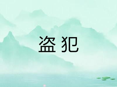 盗犯
