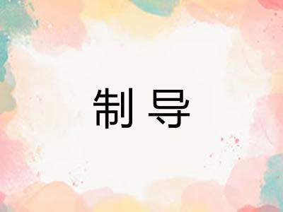 制导 制导