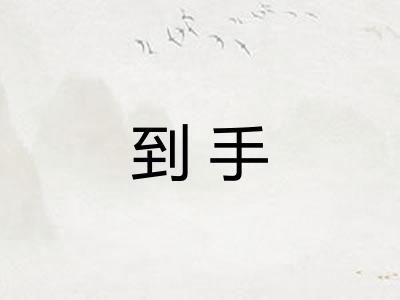 到手