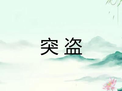 突盗