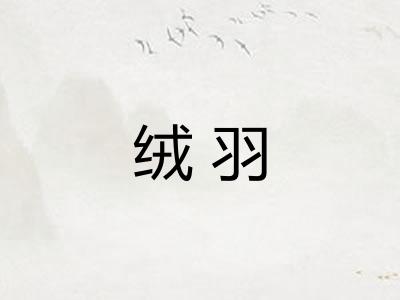 绒羽 绒羽