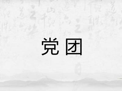 党团 党团