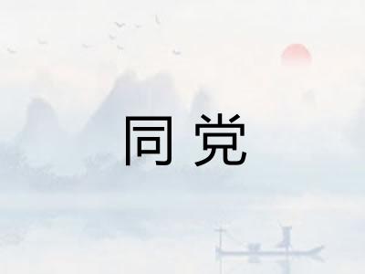 同党 同党