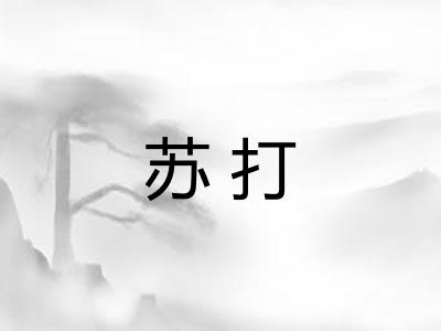 苏打 苏打