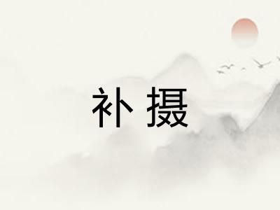 补摄
