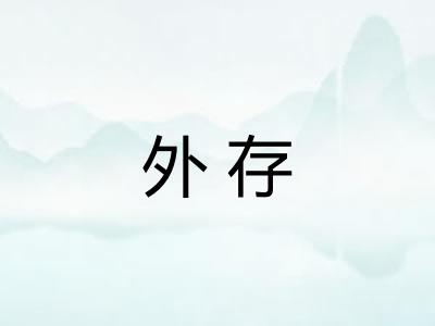 外存