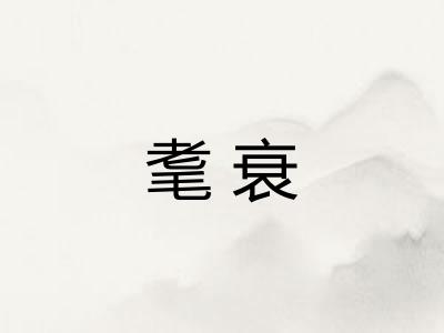 耄衰 耄衰
