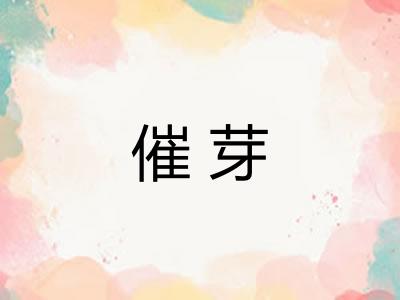 催芽