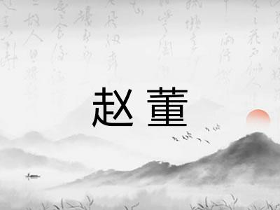 赵董