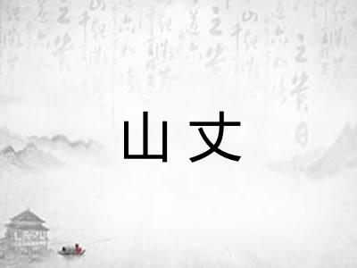 山丈 山丈