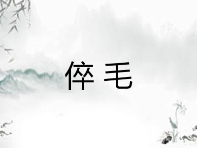 倅毛 倅毛