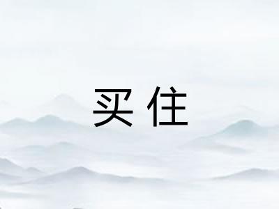 买住 买住