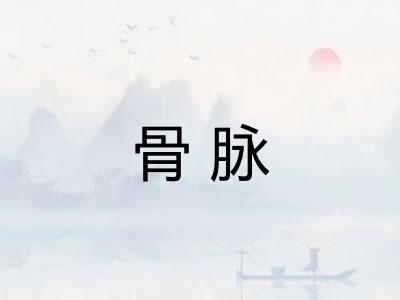 骨脉 骨脉