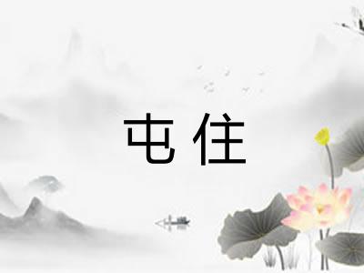 屯住