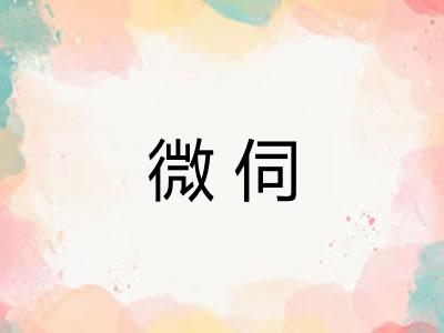 微伺 微伺