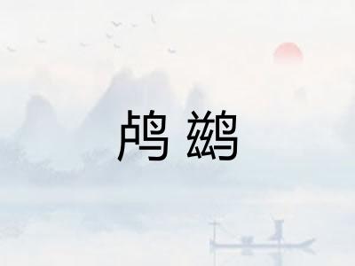 鸬鹚 鸬鹚