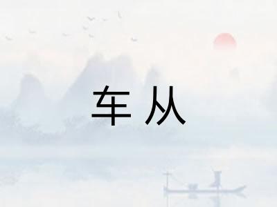 车从 车从