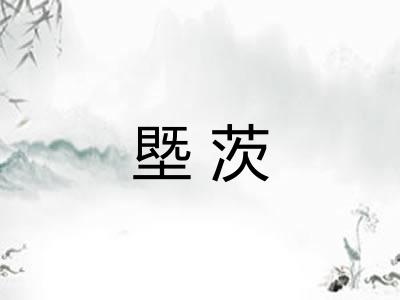 塈茨 塈茨