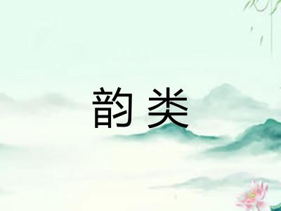 韵类