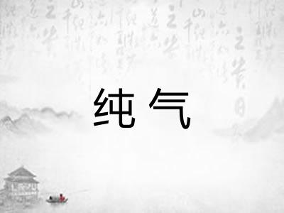 纯气