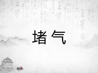 堵气 堵气
