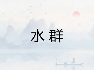 水群 水群
