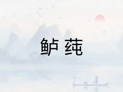 鲈莼