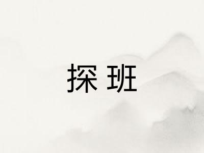 探班