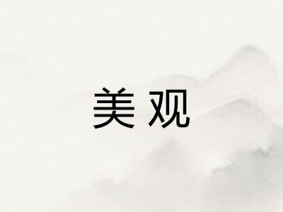 美观 美观