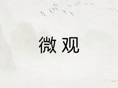微观 微观