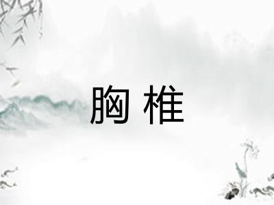 胸椎 胸椎