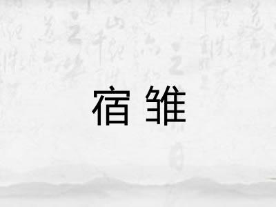 宿雏 宿雏