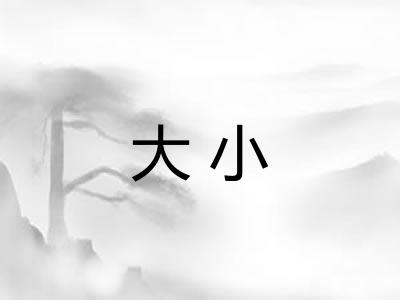 大小