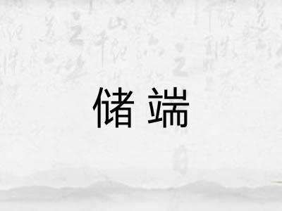 储端