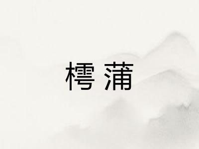 樗蒲 樗蒲