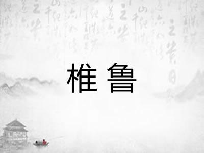 椎鲁 椎鲁